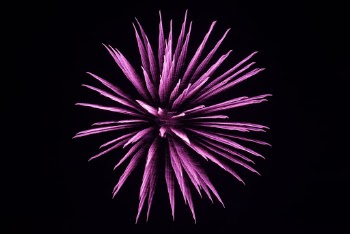 Unsplash ID OpebT6nfUgY