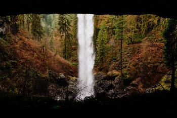Unsplash ID oPikeDMH0gA