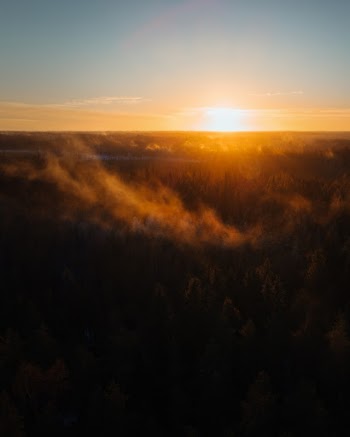 Unsplash ID Opl9RY833kQ