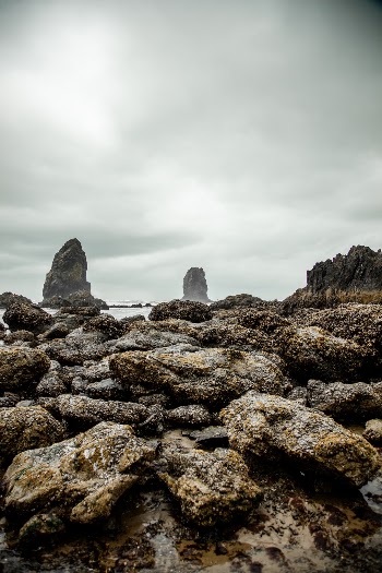 Unsplash ID opWhcrHjqfs