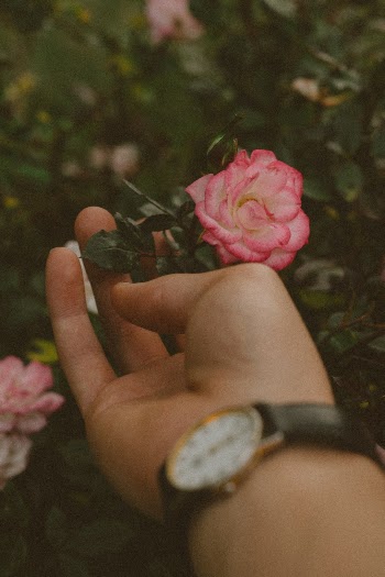 Unsplash ID oqX-khl5rjc