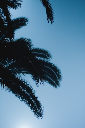 Unsplash ID orithxkCgh0