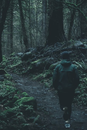 Unsplash ID OS0D-aJ54CY