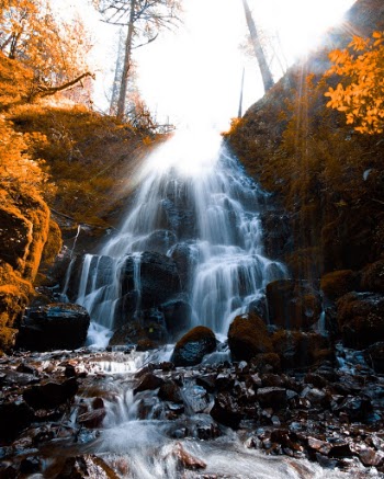 Unsplash ID OUOKIvFR9hY