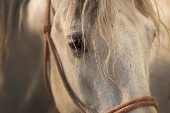 Unsplash ID oupoh2QrfQ0