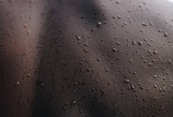 Unsplash ID OvoWfwTc460