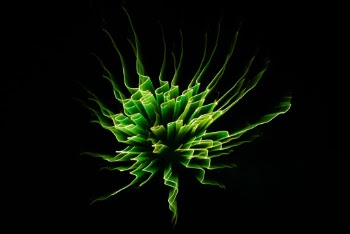 Unsplash ID ovxaoGlrY4E