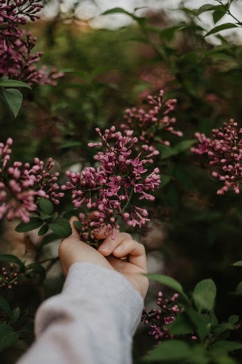 Unsplash ID OWUQC6o42oY