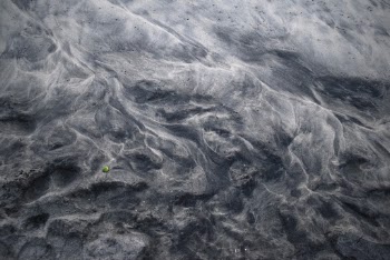Unsplash ID oXfI6DWy0Lk
