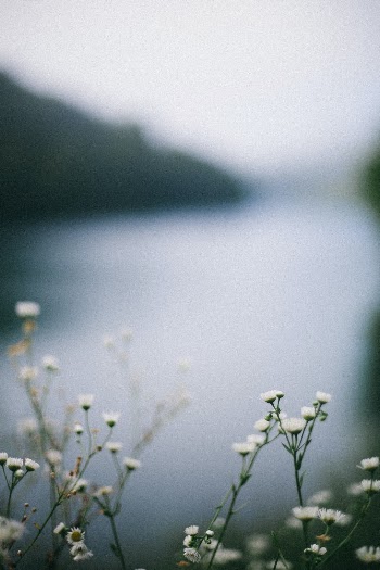 Unsplash ID oydjPv49hAM