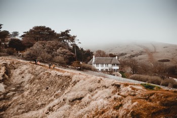 Unsplash ID OzOUJstRVYU