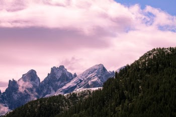 Unsplash ID OzYhJVc3m7I