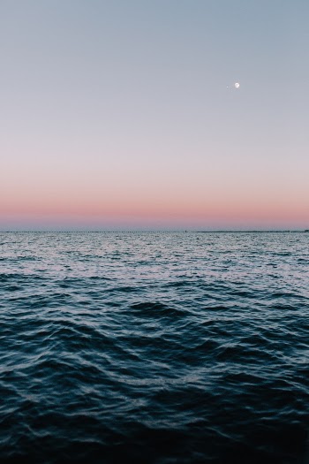 Unsplash ID p_7SlUgr-v0