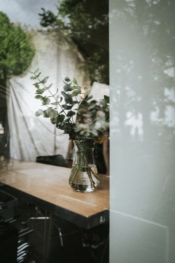 Unsplash ID p-iA7O8gG5E