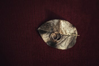 Unsplash ID p_lX6nuQmr4