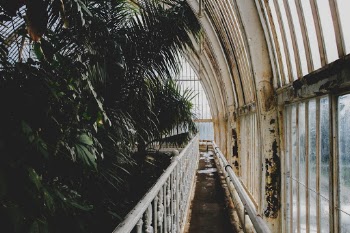 Unsplash ID P_pjzMeIbj8