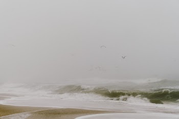Unsplash ID p0o6T5zJBSU
