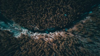 Unsplash ID P0UukzoEwwc