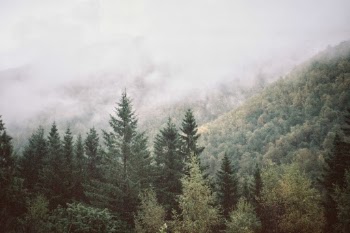 Unsplash ID p1ZMrjuuBeE