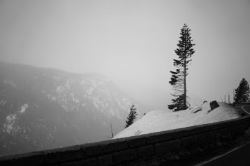 Unsplash ID p4-TQ6D5A9Y