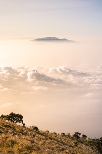 Unsplash ID p4NcN83polw