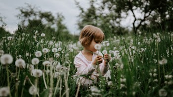 Unsplash ID p7NyTNEQFBQ