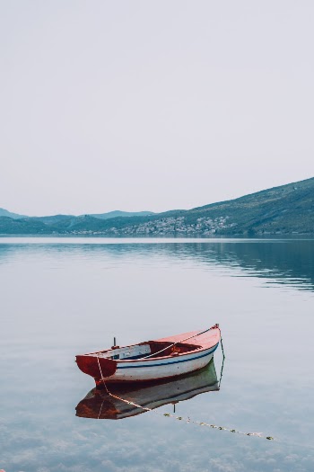 Unsplash ID p8y4dWEMGMU