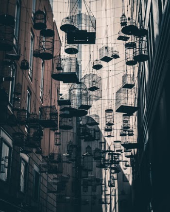 Unsplash ID pc313-O9oXY