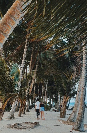 Unsplash ID pd0xCPSZSFo