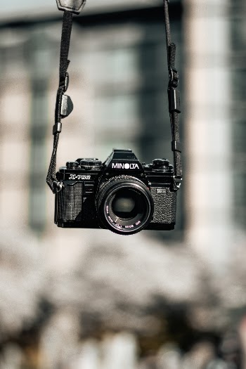 Unsplash ID PdbSMKkmU8Y