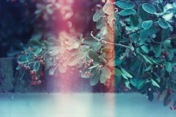 Unsplash ID pDryt9hWjs4