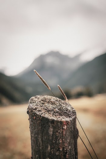 Unsplash ID pDSU_VHNvWI