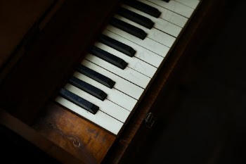 Unsplash ID pFdkN5_e7KQ