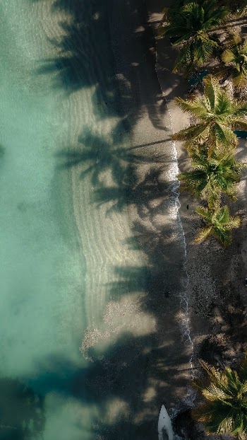 Unsplash ID PfmRghpQljw
