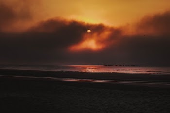 Unsplash ID pIbD4_UgFj4