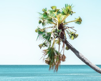 Unsplash ID PlLCC6qPDXg