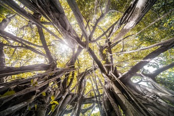 Unsplash ID pMtCj8V0zLk