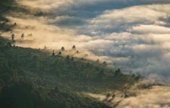 Unsplash ID pPDn9vB7Now