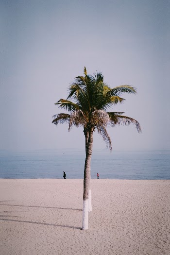 Unsplash ID pPF0z9Hhv2s
