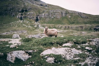 Unsplash ID Ppq1S8z8CtU