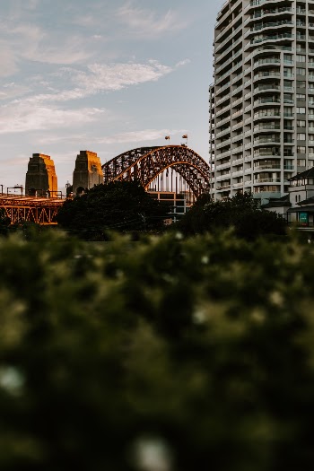 Unsplash ID pqB_ZfxZVc8