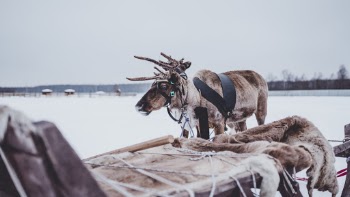 Unsplash ID pqeUfCVw5eU