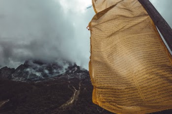 Unsplash ID PRUmjCcQBIs