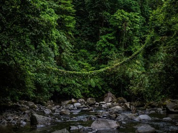 Unsplash ID PsSupQPG-uM