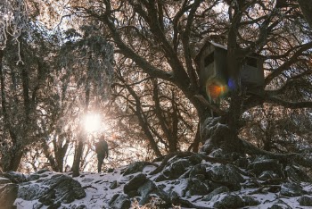 Unsplash ID pSyg6C3tP_A