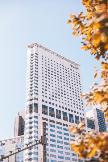 Unsplash ID PT9U_BwkDLw