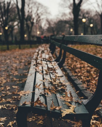 Unsplash ID pTBD5klYw3Y