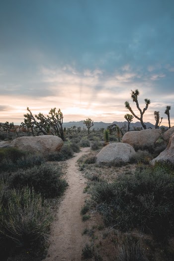Unsplash ID PvCWVKjJ5SM