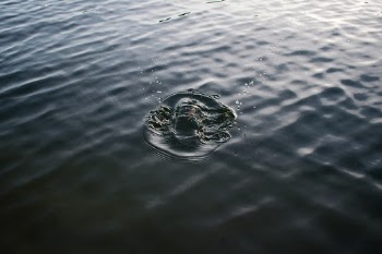 Unsplash ID Pvhxxlg2uW4
