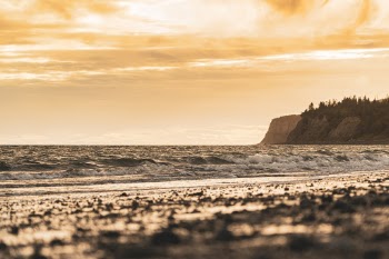 Unsplash ID pvxAkkylOGY